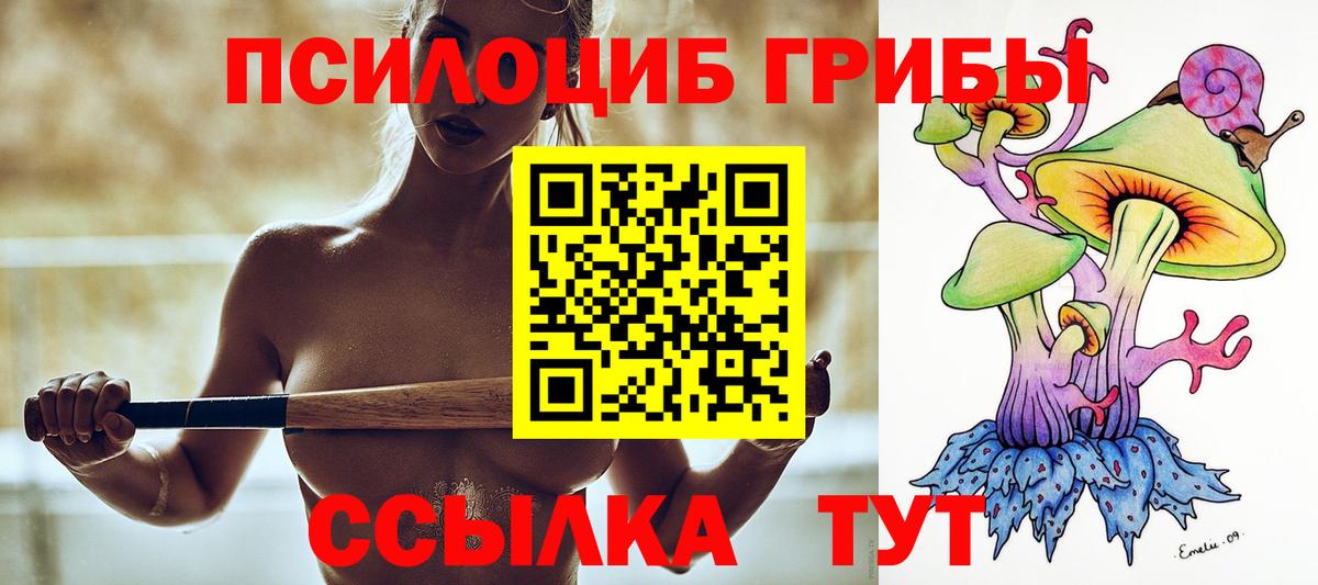 Псилоцибиновые грибы MAGIC MUSHROOMS  Псилоцибиновые грибы Psilocybe  Вход с VPN  Сафоново 